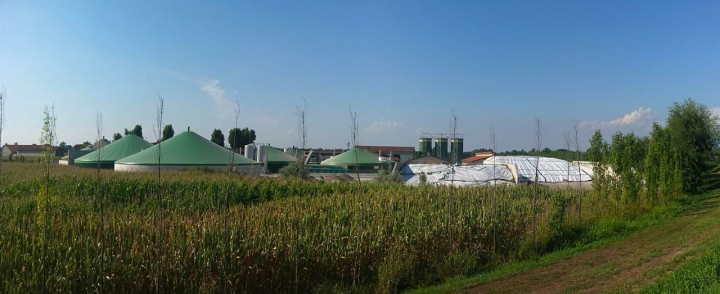 bioplyn, biomasa